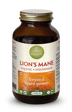 Lions Mane Purica brain supplement - Vitamins First